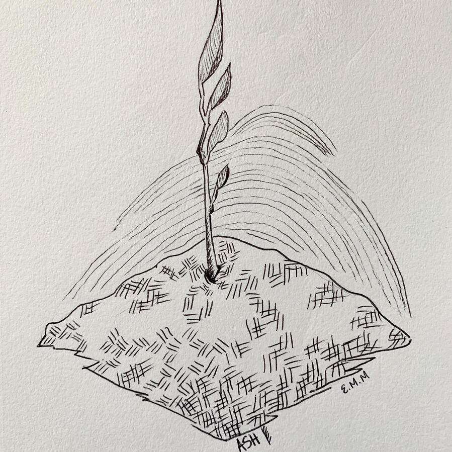 Ash Inktober 2019 Ash Inktober 2019